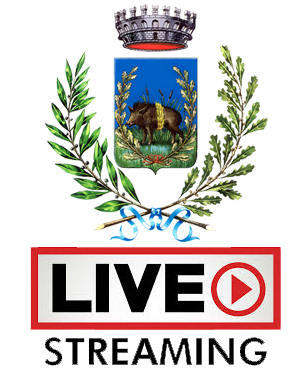 Consiglio Comunale - In Diretta