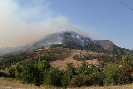 Recupero aree interessate dall’incendio di Monte Pero e Monte Aldara
