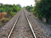 Messa in sicurezza degli alberi lungo la ferrovia