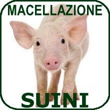ORDINANZA N. 27 - MACELLAZIONE DEI SUINI PER USO PRIVATO - STAGIONE INVERNALE 2019-2020