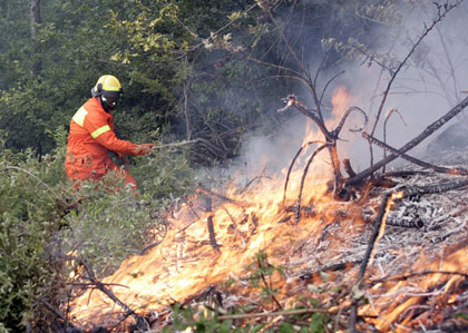 LOTTA ATTIVA AGLI INCENDI BOSCHIVI