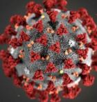 CORONAVIRUS