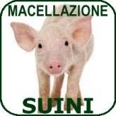 MACELLAZIONE DEI SUINI PER USO PRIVATO - STAGIONE INVERNALE 2018 - 2019