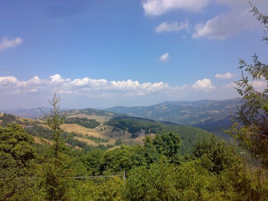 CRINALI - Programma degli eventi da Giugno a Ottobre 2014