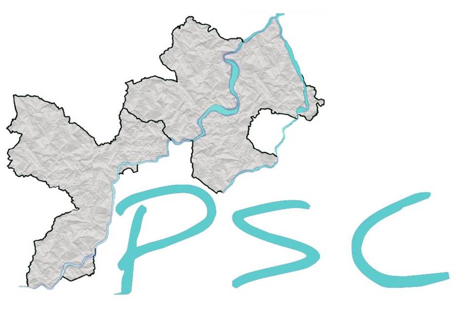 PSC E NUOVI STRUMENTI DI PIANIFICAZIONE