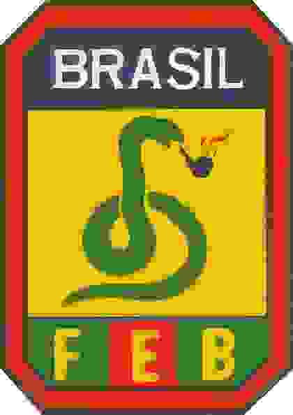 A Ricordo della Battaglia di Castelnuovo combattuta dalla Forza di Spedizione Brasiliana