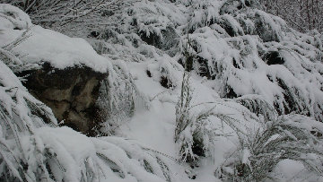 AVVERSITA’ ATMOSFERICHE DAL 4 AL 7 FEBBRAIO 2015: NUOVA SCHEDA DA COMPILARE.